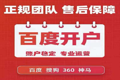 竞价广告投放技巧与案例分析